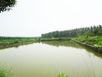 企業(yè)環(huán)境